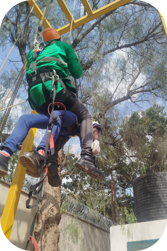 Lorem Ipsum is a standard dummy text used in printing and web design. Learn about its origin, variations, and how to generate it online. People also search for lorem ipsumlorem ipsum generator lorem ipsum dummy textlorem picsum loremloream ip lorem ipsum meaninglorem text